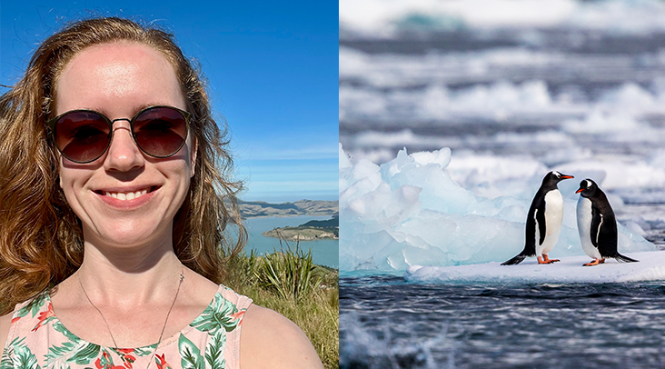 Climate change and biodiversity: Forecasting the future of life in Antarctica